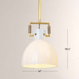 Aidas Milk Glass Cloche Pendant