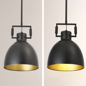 Aidas Metal Cloche Pendant