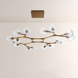 Mahowald Fixed Chandelier