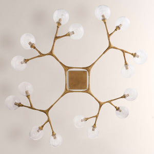 Mahowald Fixed Chandelier