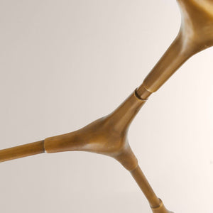 Mahowald Fixed Chandelier