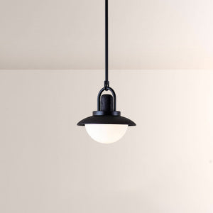 Arcane Wood Metal Dome Pendant