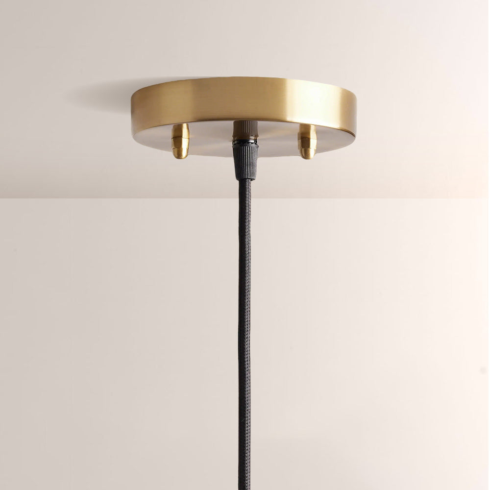 Maton Palm Leaf & Brass Pendant