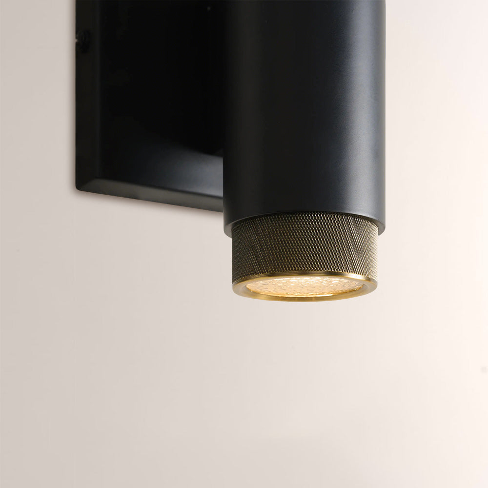Sanel Outdoor Wall Sconce