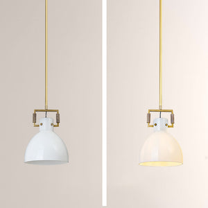 Aidas Milk Glass Cloche Pendant