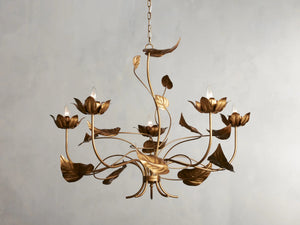 Ninfea Chandelier 49"