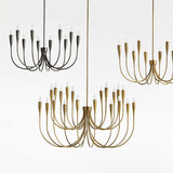 Lione Candelabra Chandelier Light
