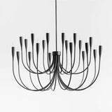 Lione Candelabra Chandelier Light